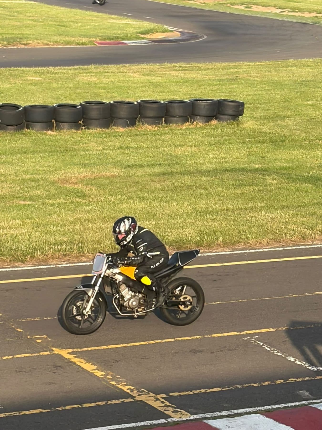 Ted on circuit